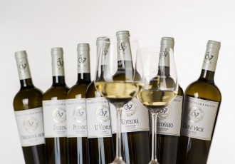 Degustace archivních vín Volařík