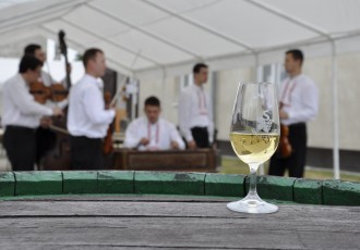 Festival Sedleckých vín